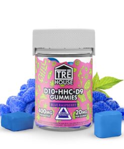 Blue Raspberry HHC Gummies