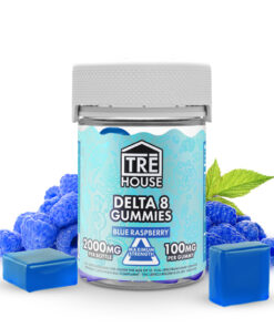 Blue Raspberry HHC Gummies